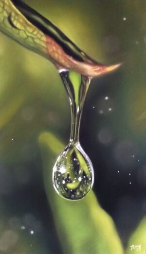 Buy Original and Affordable Filipino Art 29 Beauty After The Rain