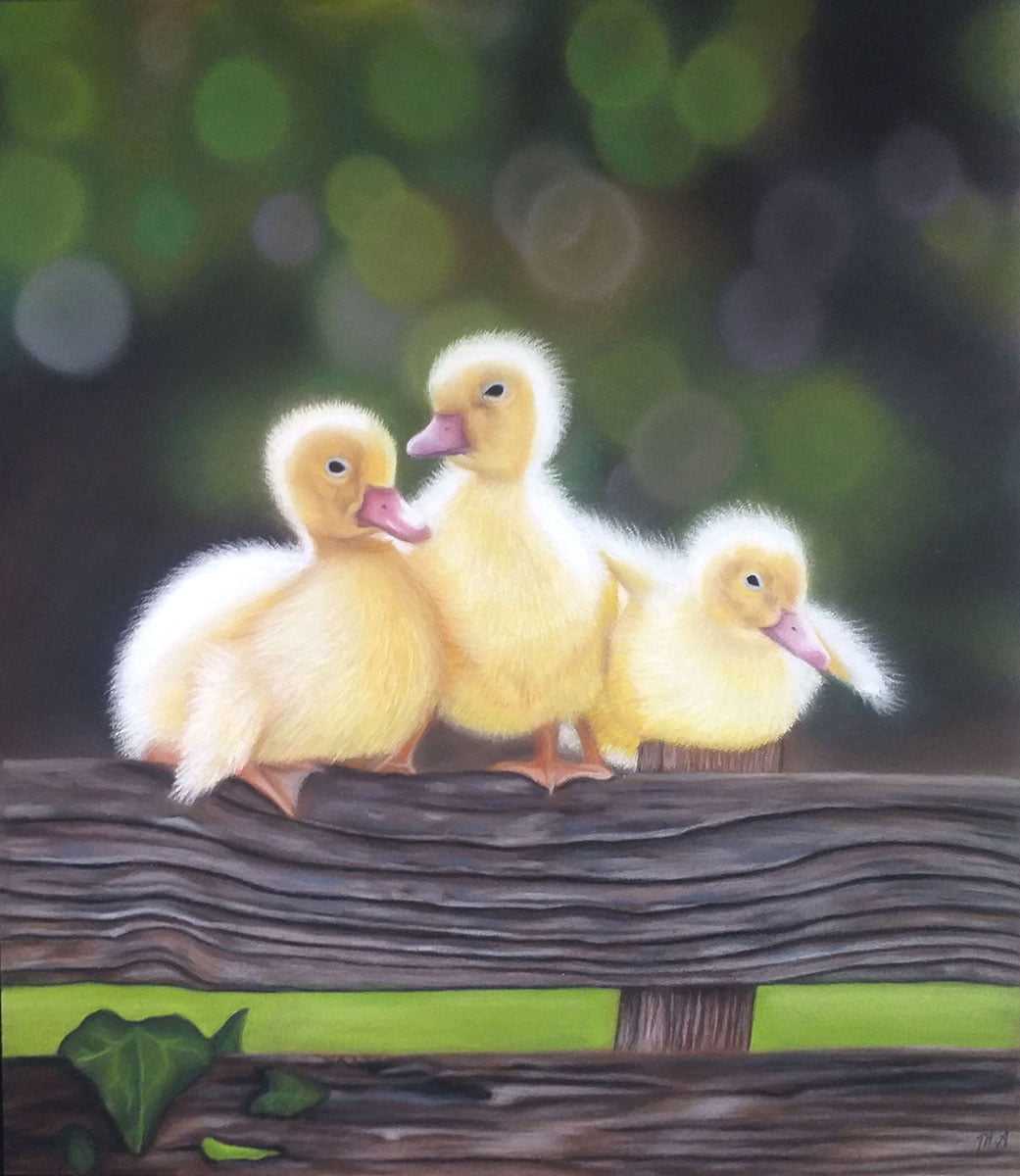 Farm Friends 1 Farm Friends