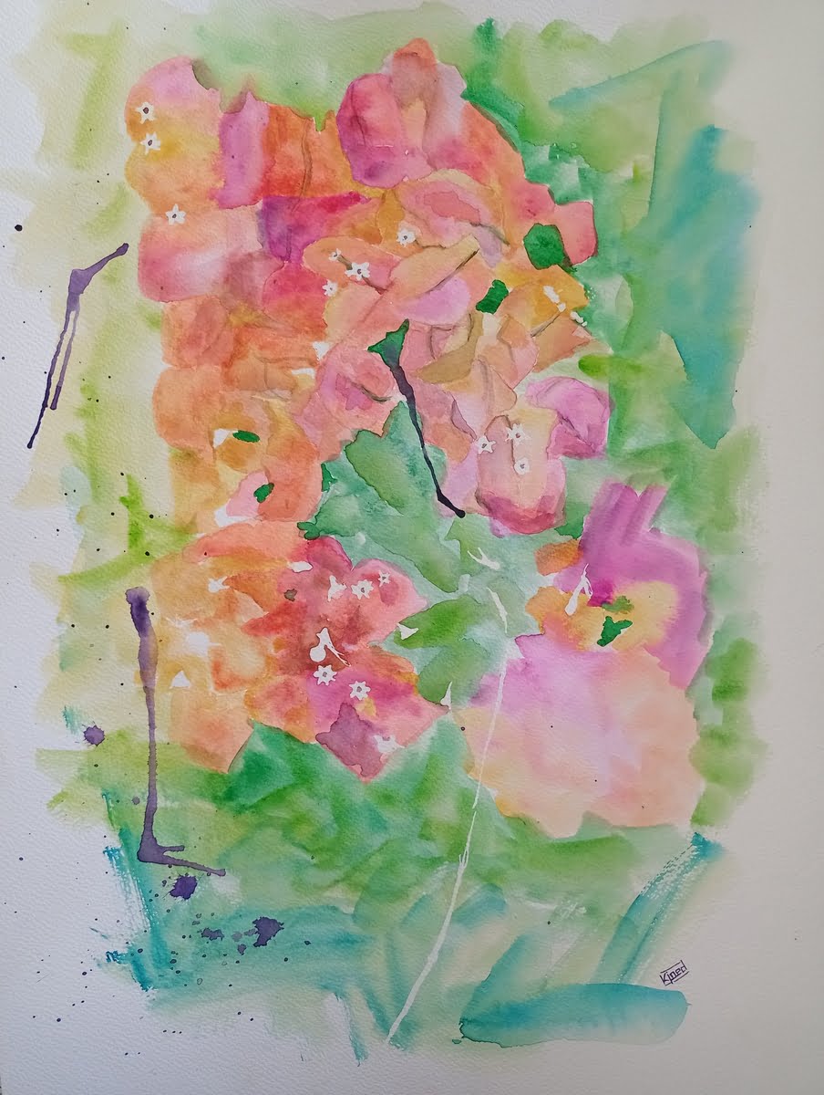 Bougainvillea 1 Bougainvillea