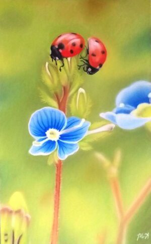 Buy Original and Affordable Filipino Art 27 Ladybugs