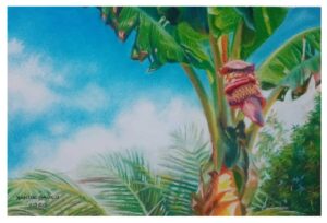 All Artworks 2 Banana Blossom