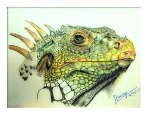 Iguana
