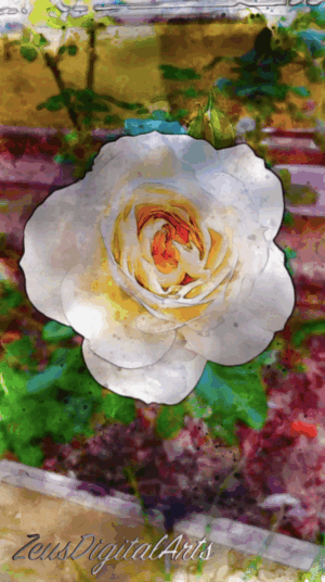 Buy Original and Affordable Filipino Art 12 Petals of Serenity