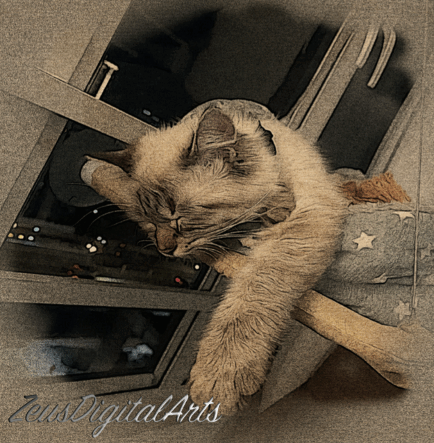 The Bed of Dreams 1 The Bed of Dreams