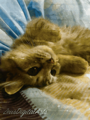 Buy Original and Affordable Filipino Art 10 Still Moments