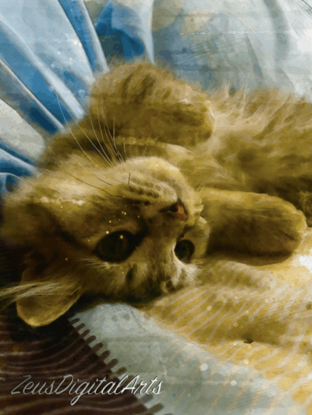 Still Moments 1 Still Moments