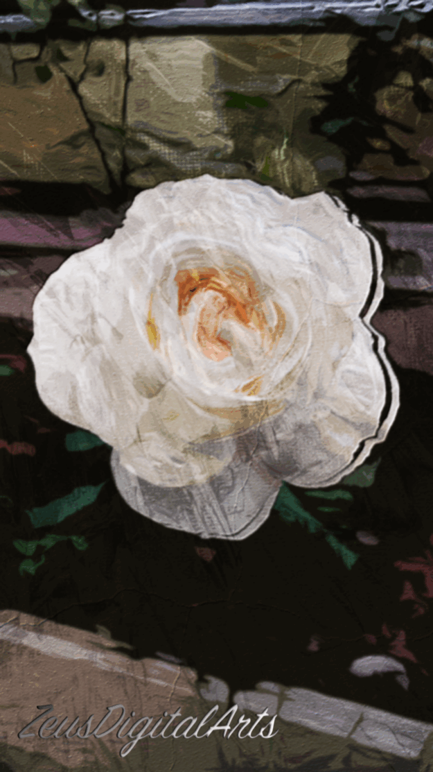 Pure Bloom 1 Pure Bloom