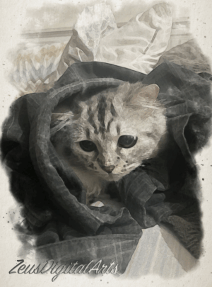 Buy Original and Affordable Filipino Art 7 Wrapped in Whiskers