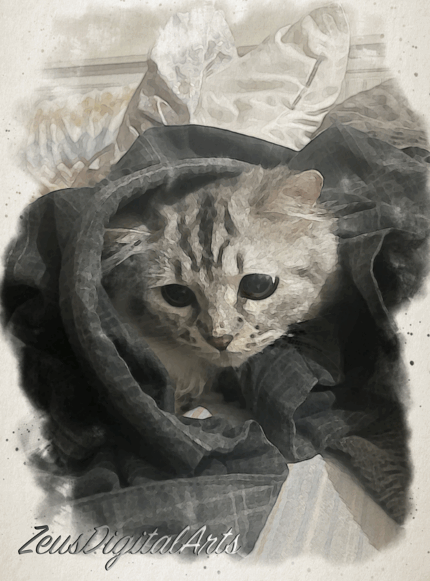 Wrapped in Whiskers 1 Wrapped in Whiskers