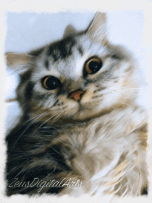 Buy Original and Affordable Filipino Art 4 Cloud-Soft Kitty